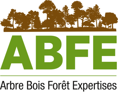 Arbre Bois Forêt Expertises